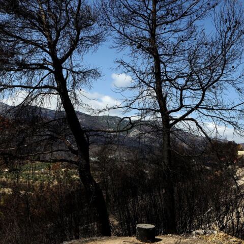 Διευκρινίσεις του υπουργείου Περιβάλλοντος και Ενέργειας για τα έργα αποκατάστασης και αναδάσωσης στη βόρεια Εύβοια	