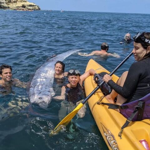 Καλιφόρνια: Βρέθηκε ψάρι του βαθέος ωκεανού που μοιάζει με φίδι
