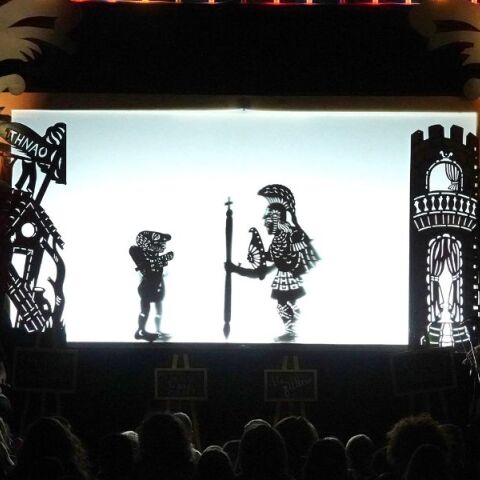 Στιγμιότυπο από παράσταση Καραγκιόζη