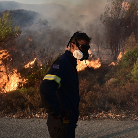 Λέκκας για φωτιά στην Αττική: Εξαπλώθηκε και εξαιτίας του «φαινομένου της καμινάδας»