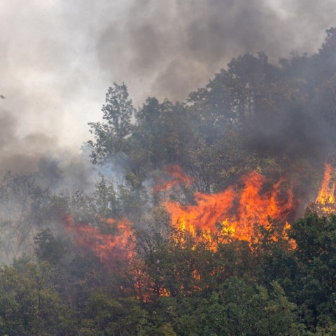 Τουρκία: Συνεχίζεται η μάχη στα πύρινα μέτωπα - Νέα εστία πυρκαγιάς στα Βουρλά της Σμύρνης