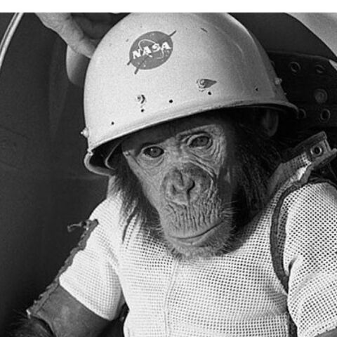 Πίθηκοι και σκύλοι μπήκαν σε πολλές διαστημικές αποστολές