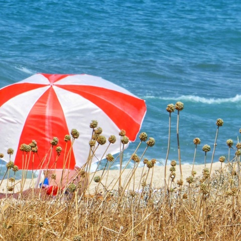 Καιρός: Στους 38 βαθμούς η θερμοκρασία, με βοριάδες 7 μποφόρ στο Αιγαίο το Σάββατο