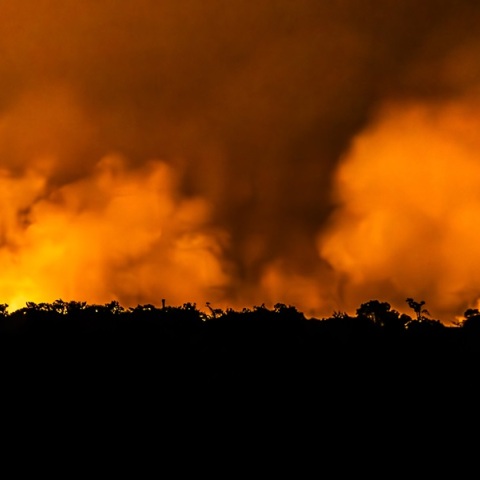 Η Βραζιλία «σε πόλεμο» με τις πυρκαγιές - Σε κατάσταση εκτάκτου ανάγκης 45 πόλεις πόλεις 