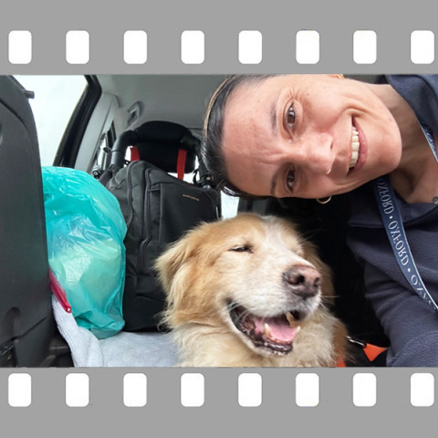 Ο φίλος μου ο Μπετόβεν, συνταξιδιώτης στο πρώτο μισό της διαδρομής, από την Αθήνα στο Νοορντβάικ της Ολλανδίας