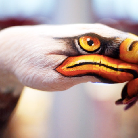 Γκουίντο Ντανιέλε: Handimals