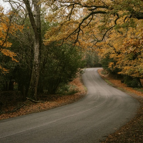Εορτολόγιο: Σήμερα 12 Σεπτεμβρίου 2024 γιορτάζει…
