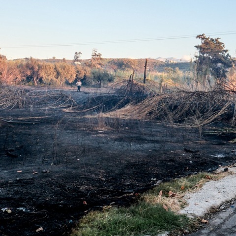 Χανιά: Υπό έλεγχο η μεγάλη φωτιά στον Πλατανιά