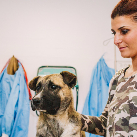 Ειρήνη Ψαρρού