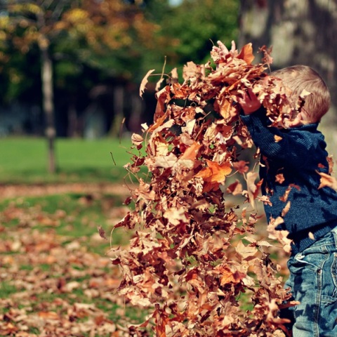 Εορτολόγιο: Σήμερα 14 Σεπτεμβρίου 2024 γιορτάζει…