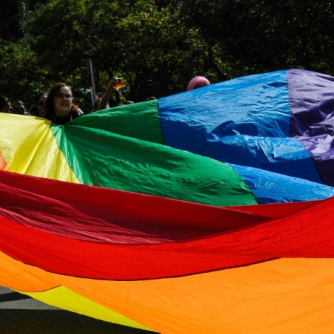 Το κοινοβούλιο της Γεωργίας ψήφισε νόμο που περιορίζει τα δικαιώματα της ΛΟΑΤΚΙ+ κοινότητας 
