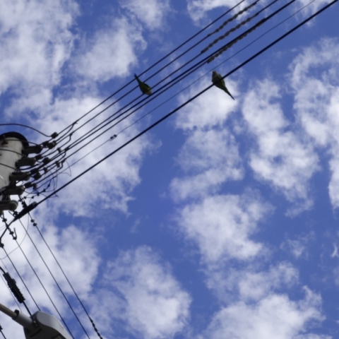 συννεφα, ουρανος