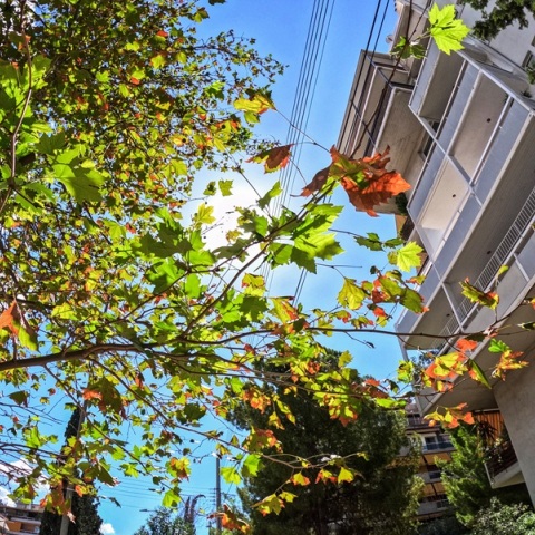 Καιρός: «Πατάει» ξανά τους 30 °C η θερμοκρασία την Τρίτη