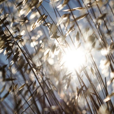 Καιρός: Ζέστη με θερμοκρασίες έως και 32 βαθμούς Κελσίου την Πέμπτη