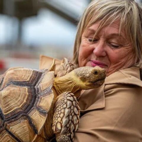 Βρετανία: Το δέσιμο μιας γυναίκας με μια γιγάντια χελώνα