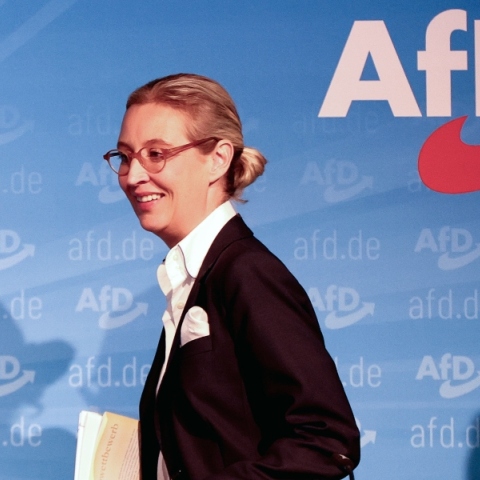 Η πρόεδρος του AfD, Αλις Βάιντελ