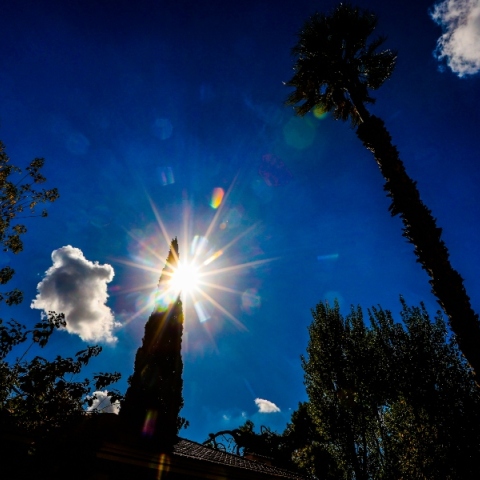 ουρανος, ηλιος, δεντρα