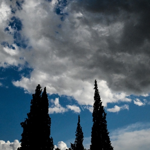 ουρανος, συννεφα, δεντρα