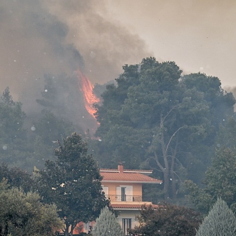 Ανεξέλεγκτη η φωτιά στο Γεράκι Αμαλιάδας - Απειλεί κατοικημένη περιοχή