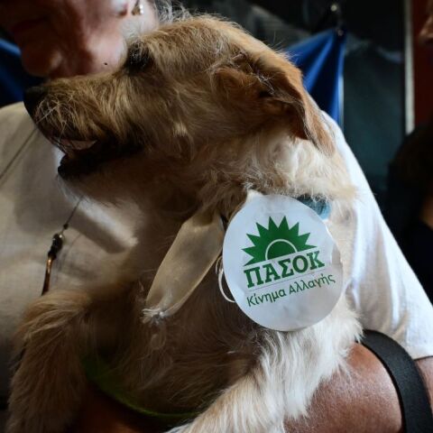 ΕΚΛΟΓΕΣ ΓΙΑ ΤΗΝ ΑΝΑΔΕΙΞΗ ΠΡΟΕΔΡΟΥ ΤΟΥ ΠΑΣΟΚ-ΚΙΝΗΜΑΤΟΣ ΑΛΛΑΓΗΣ (ΧΡΗΣΤΟΣ ΜΠΟΝΗΣ//EUROKINISSI