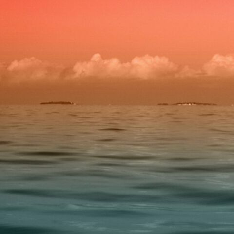 Οι φυσικές αποθήκες άνθρακα δεν μπορούν πλέον να απορροφήσουν τις εκπομπές αερίων του θερμοκηπίου