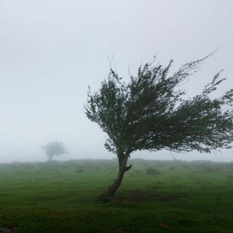 Καιρός: Έρχονται τα πρώτα κρύα με θυελλώδεις ανέμους