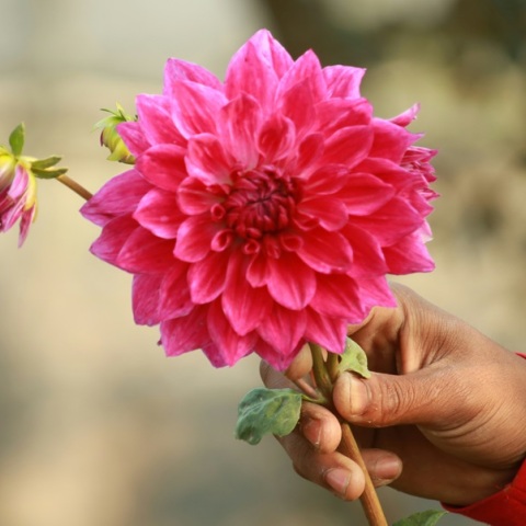 Εορτολόγιο: Σήμερα 20 Οκτωβρίου 2024 γιορτάζει…