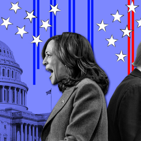 Αμερικανικές εκλογές 2024