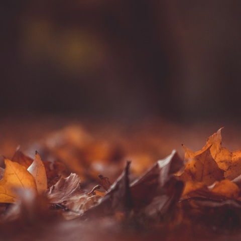 Εορτολόγιο: Σήμερα 25 Οκτωβρίου 2024 γιορτάζει…