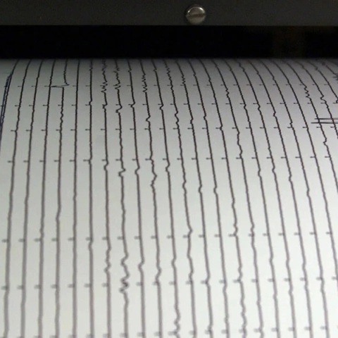 Σεισμογράφος