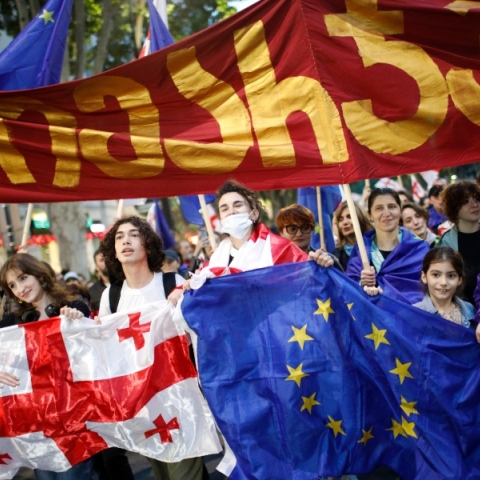 διαδηλωτές στη Γεωργία