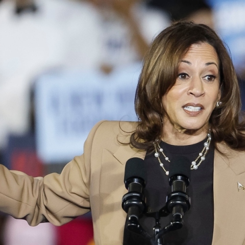 η αντιπρόεδρος των ΗΠΑ και υποψήφια πρόεδρος  Κάμαλα Χάρις