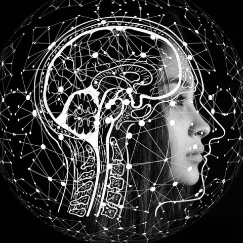 Και όμως η τεχνητή νοημοσύνη...λαθεύει - Όταν το Claude AI άρχισε να μελετά εθνικά πάρκα