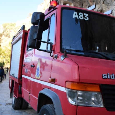 πυροσβεστες, δασος