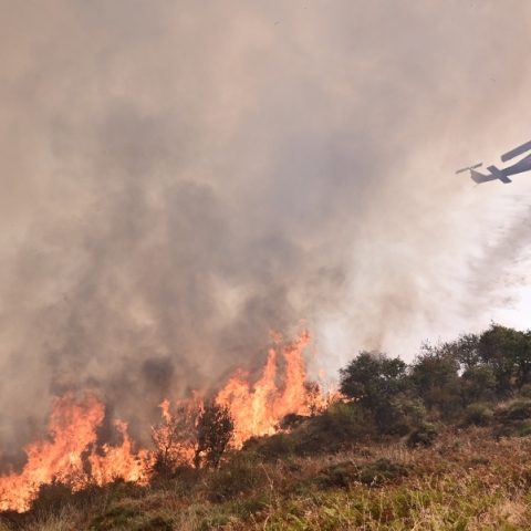 ελικοπτερο πυροσβεστικης ριχνει νερο