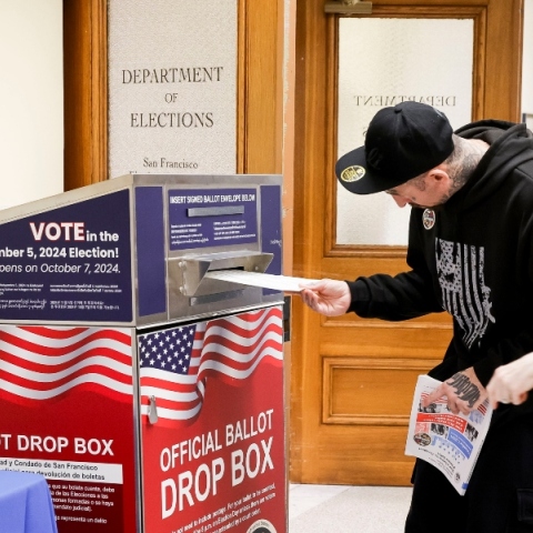 ψηφοφοροι, καλπες