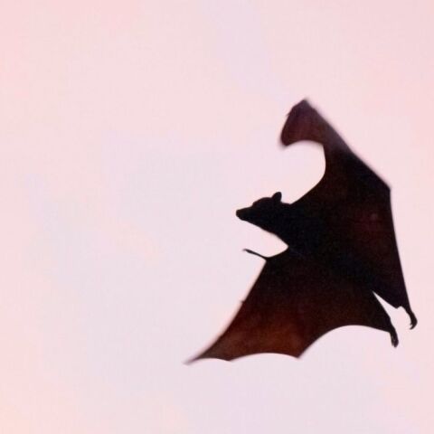 Σιδηρόδρομος