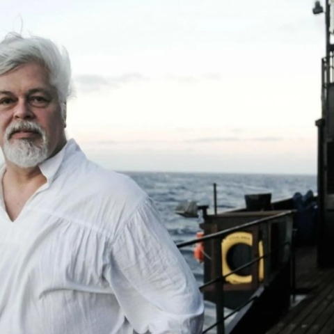 Ο ακτιβιστής κατά της φαλαινοθηρίας Πολ Γουότσον