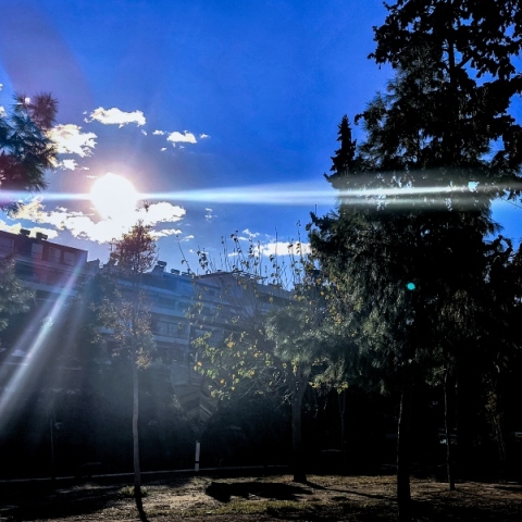 δεντρα, σπιτια, ουρανος, ηλιος