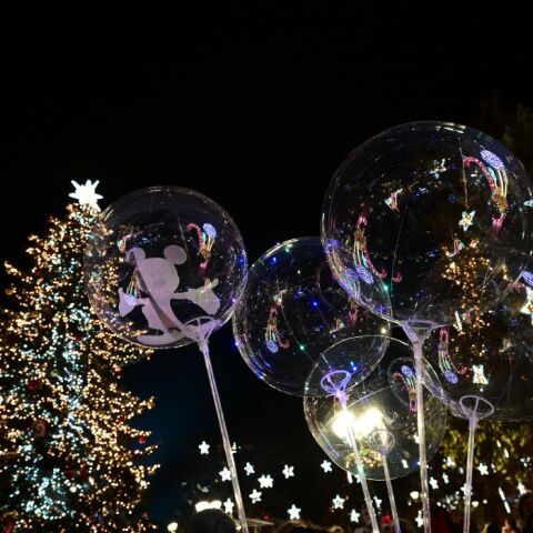  ΦΩΤΑΓΩΓΗΣΗ ΤΟΥ ΧΡΙΣΤΟΥΓΕΝΝΙΑΤΙΚΟΥ ΔΕΝΤΡΟΥ ΣΤΗΝ ΠΛΑΤΕΙΑ ΣΥΝΤΑΓΜΑΤΟΣ (ΤΑΤΙΑΝΑ ΜΠΟΛΑΡΗ/EUROKINISSI)