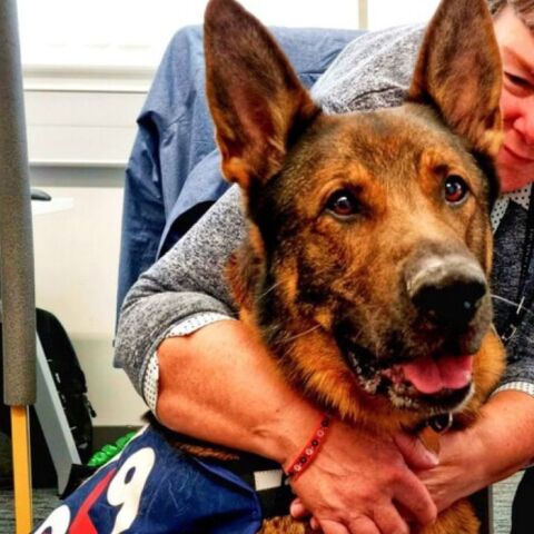 The Thin Blue Paw Foundation