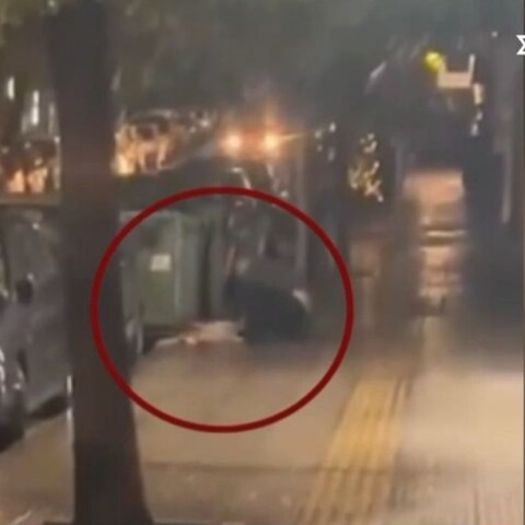 Κυψέλη: Άνδρας αποκεφαλίζει γατάκι σε πεζοδρόμιο - Αδιανόητες εικόνες σε βίντεο ντοκουμέντο