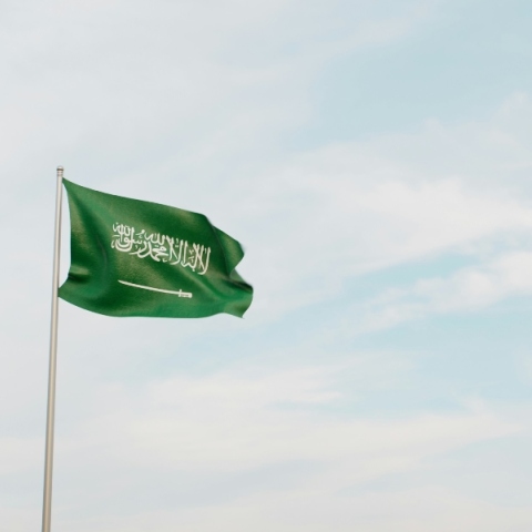 πρασινη σημαια