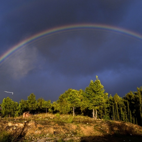 ουρανιο τοξο, δασος, συννεφα
