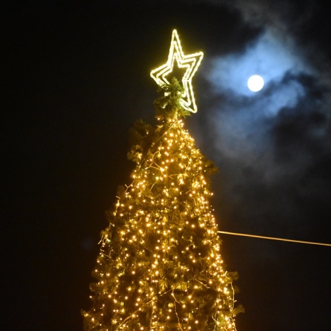 Πανσέληνος πίσω από χριστουγεννιάτικο δέντρο 