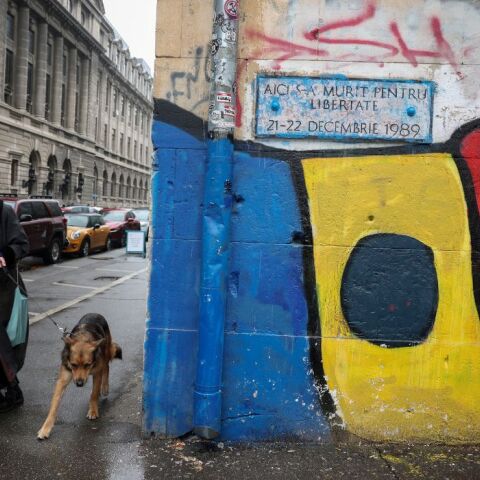 Ρουμανία: Το ανώτατο δικαστήριο ακυρώνει τον πρώτο γύρο των προεδρικών εκλογών λόγω ρωσικής παρέμβασης