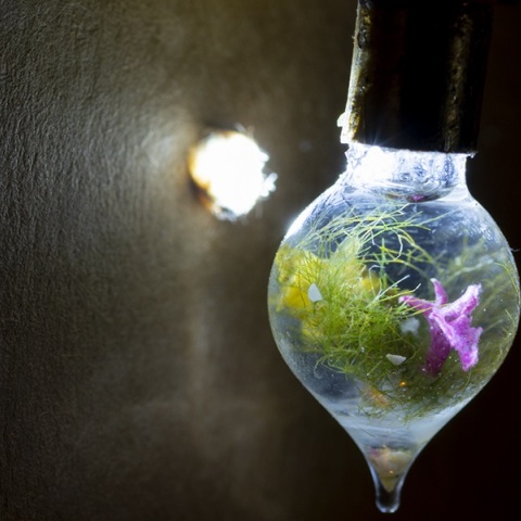 OnassisAiR στη Στέγη: όταν η τέχνη συναντά την τεχνολογία