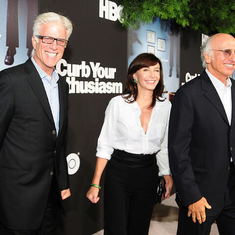 Τεντ Ντάνσον: Αποκάλυψε ότι έπαιξε αρχικά στο Curb your Enthusiasm από λύπηση στον Λάρι Ντέιβιντ