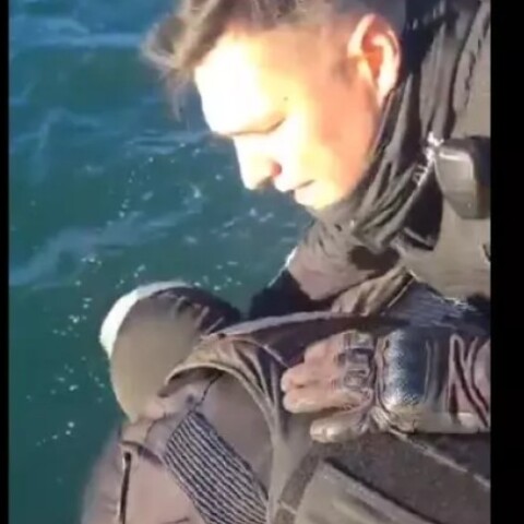 Θεσσαλονίκη: «Σε κρατάμε, μην ανησυχείς» - Αστυνομικοί έσωσαν άνδρα που έπεσε στον Θερμαϊκό