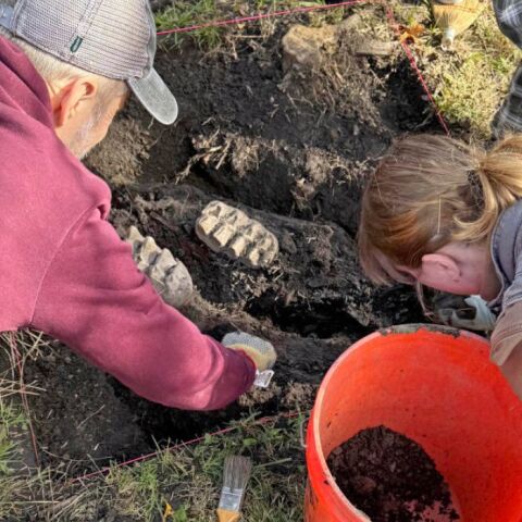 Τα απολιθώματα θα χρονολογηθούν με άνθρακα και θα αναλυθούν για να προσδιοριστεί η ηλικία του
